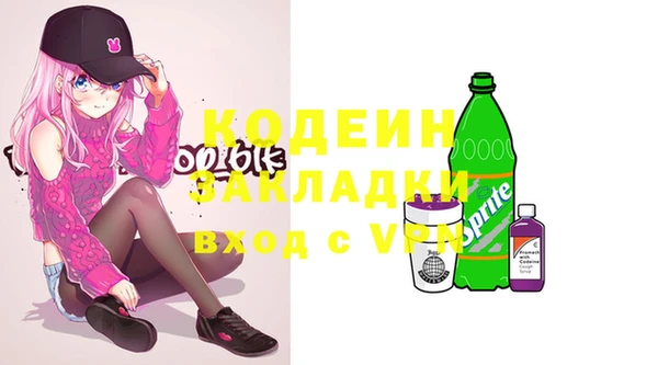 стафф Карпинск