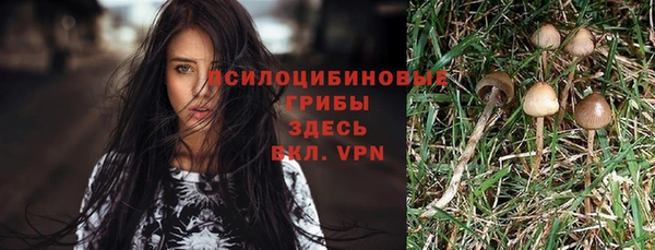 хмурый Карталы