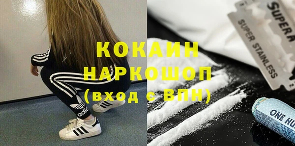 стафф Карпинск