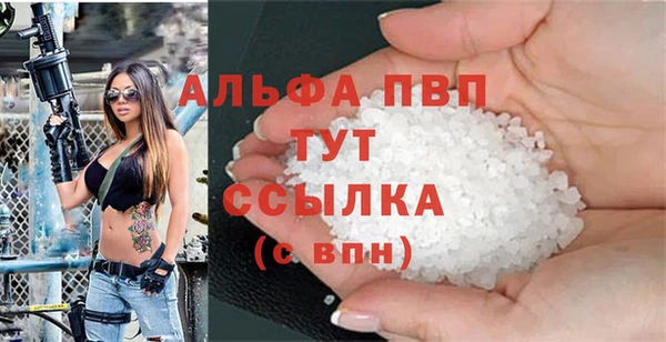 стафф Карпинск