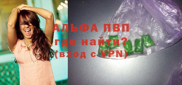стафф Карпинск