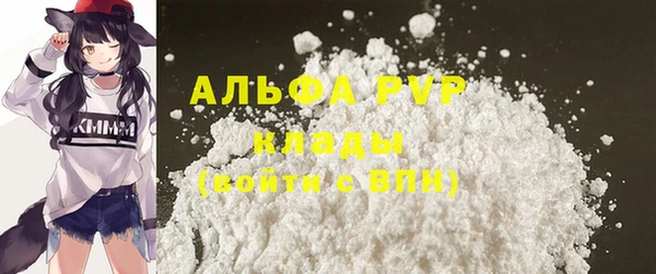 стафф Карпинск