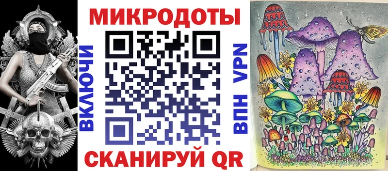 Купить  Устюжна  Псилоцибиновые грибы Psilocybe 